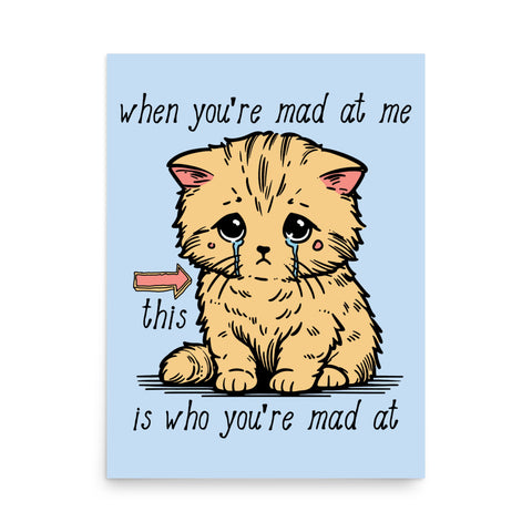 When You're Mad At Me This Is Who You're Mad At - Cute Meme Poster