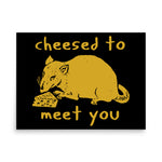 Cheesed To Meet You - Rat, Meme Poster