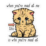 When You're Mad At Me This Is Who You're Mad At - Cute Meme Sticker