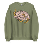 Brainworms - Meme, Funny Sweatshirt