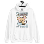 Spreading Misinformation On The Internet - Cute Meme Hoodie