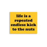 Life Is A Repeated Endless Kick To The Nuts - Oddly Specific Meme Poster