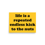 Life Is A Repeated Endless Kick To The Nuts - Oddly Specific Meme Poster