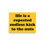 Life Is A Repeated Endless Kick To The Nuts - Oddly Specific Meme Poster