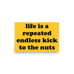 Life Is A Repeated Endless Kick To The Nuts - Oddly Specific Meme Poster