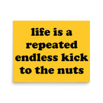 Life Is A Repeated Endless Kick To The Nuts - Oddly Specific Meme Poster