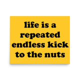 Life Is A Repeated Endless Kick To The Nuts - Oddly Specific Meme Poster