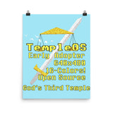 TempleOS Early Adopter - Terry A Davis, Programmer, Meme Poster