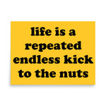 Life Is A Repeated Endless Kick To The Nuts - Oddly Specific Meme Poster