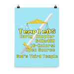 TempleOS Early Adopter - Terry A Davis, Programmer, Meme Poster