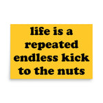 Life Is A Repeated Endless Kick To The Nuts - Oddly Specific Meme Poster