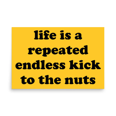 Life Is A Repeated Endless Kick To The Nuts - Oddly Specific Meme Poster