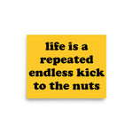 Life Is A Repeated Endless Kick To The Nuts - Oddly Specific Meme Poster