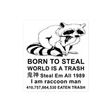 Born To Steal World Is A Trash - Raccoon Meme Sticker