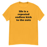 Life Is A Repeated Endless Kick To The Nuts - Oddly Specific Meme T-Shirt