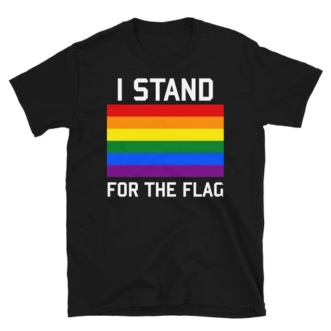 I Stand For The Gay Pride Flag - LGBTQ, Queer, Gay Rights, Pride T-Shirt