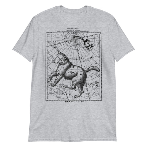 Ursa Major and Minor Constellation Map - Aesthetic, Astronomy, Space T-Shirt