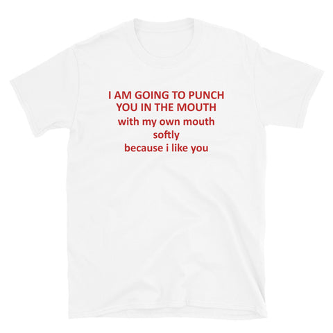 Going To Punch You In The Mouth With My Mouth - Oddly Specific, Meme T-Shirt